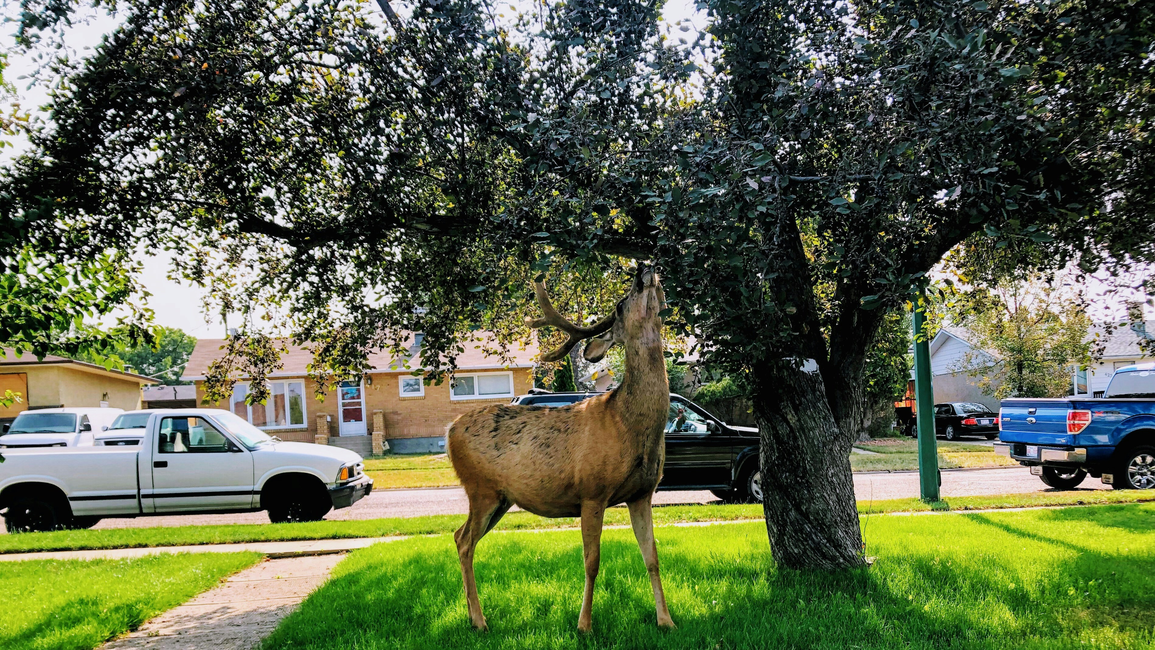 Rush Courier in Vaughan - Crunch Courier